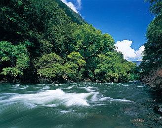 《游戏王OCG》25周年纪念邮票公布 附赠浮世绘版QCSER青眼白龙卡牌