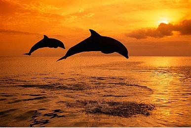 叙事游戏《千年抵抗》5月9日登陆PC和Switch